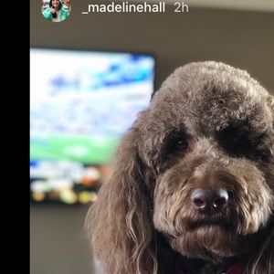 Meet your Posher, Zoe